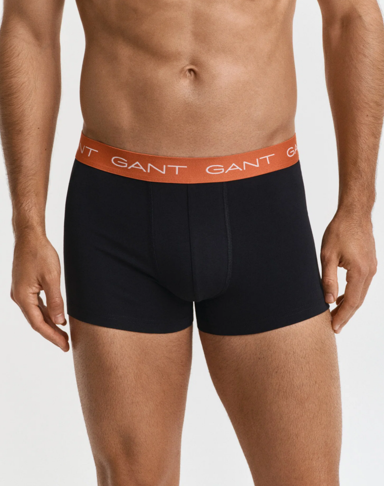 TRUNK BOXER