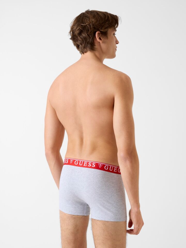 BRIAN HERO BOXER TRU