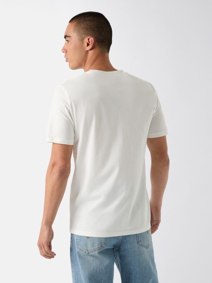 AMBROGIO PAMUK T-SHIRT