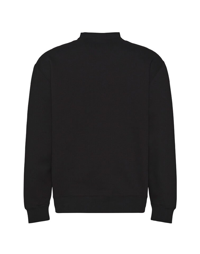 LS 350FLEECE RETRO GRAPHIC CREWN